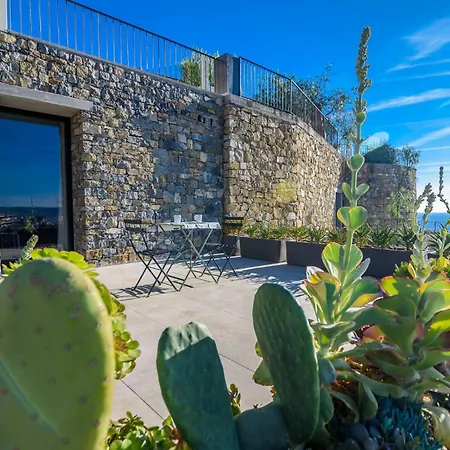 Agave * San Remo